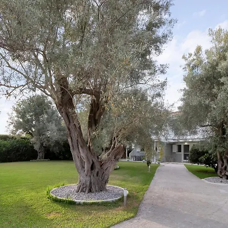 Apartment Elaia 3 Lefkada City